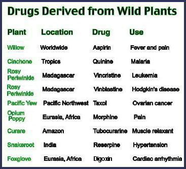 Drugs derived from wild plants