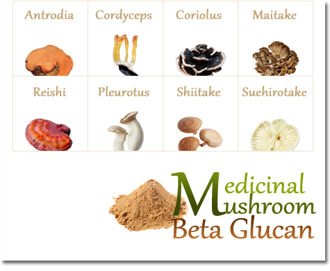Medicinal-Mushroom-Beta-Glucan1
