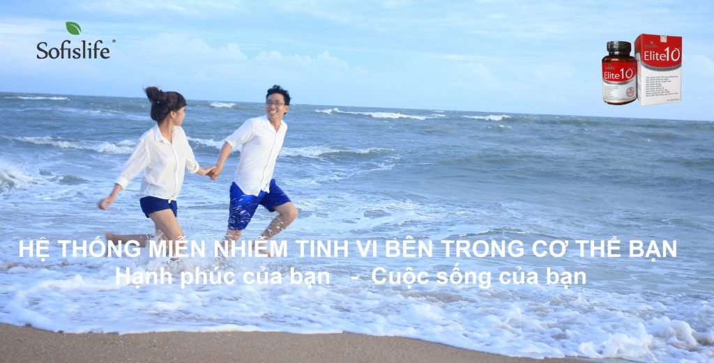 He Thong Mien Nhiem Banner